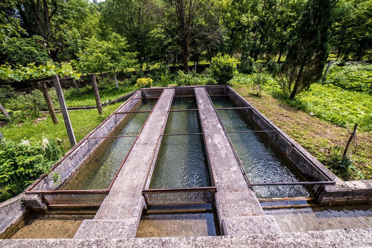 Eko House Dobrenica Villa Bihac Bagian luar foto