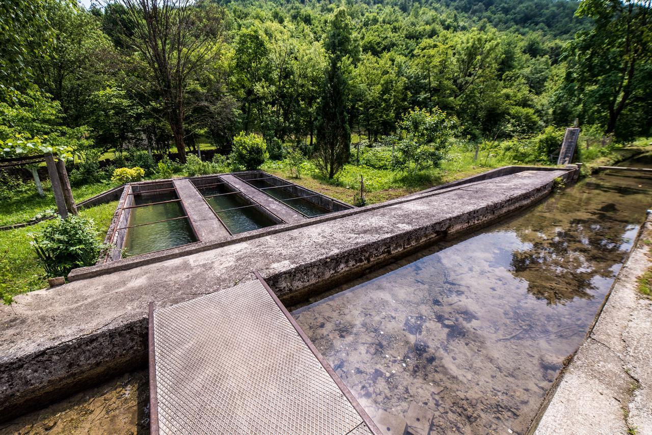 Eko House Dobrenica Villa Bihac Bagian luar foto